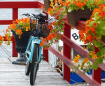Voor onze verzameling fietsfoto's